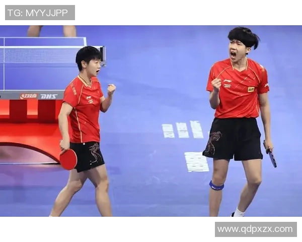 北京乒乓球队技术争议引发热议球迷与专家观点碰撞激烈
