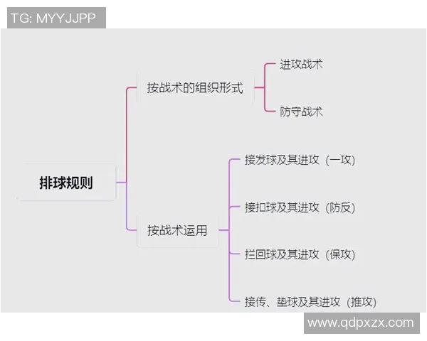 深圳排球队灵活性探讨与战术创新的深度分析与展望 深圳排球队灵活性探讨与战术创新的深度分析与展望