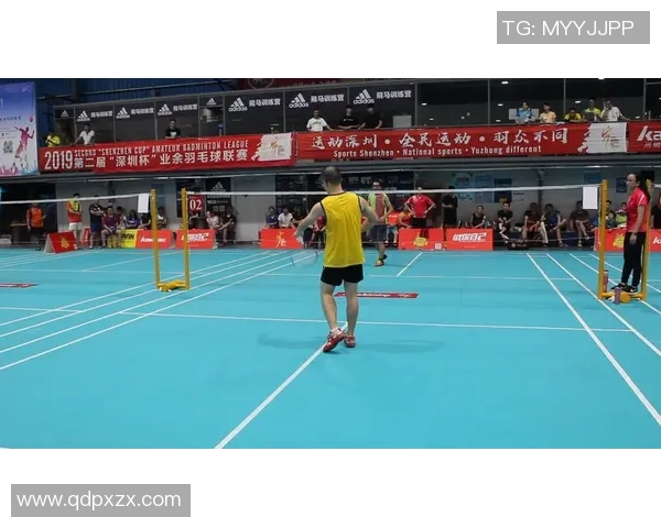 深圳羽毛球队的奋斗历程与辉煌成就全景回顾 深圳羽毛球队的奋斗历程与辉煌成就全景回顾