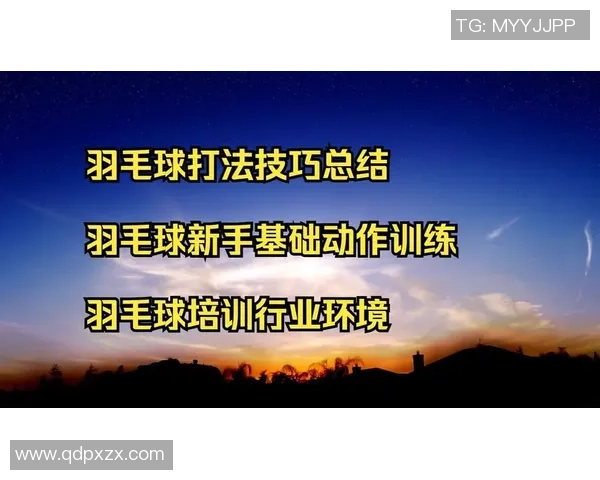 羽毛球深度解析：杭州羽毛球队的战术控制与训练秘诀揭秘